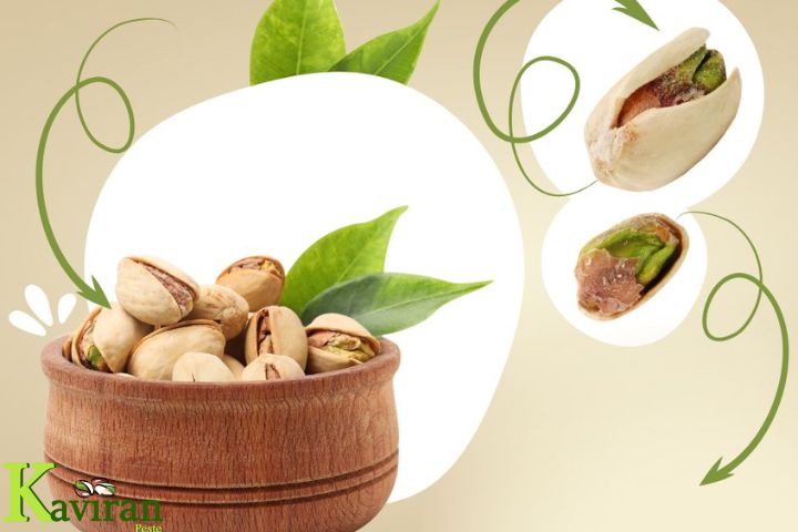 درخت پسته چند ساله بار می_دهد