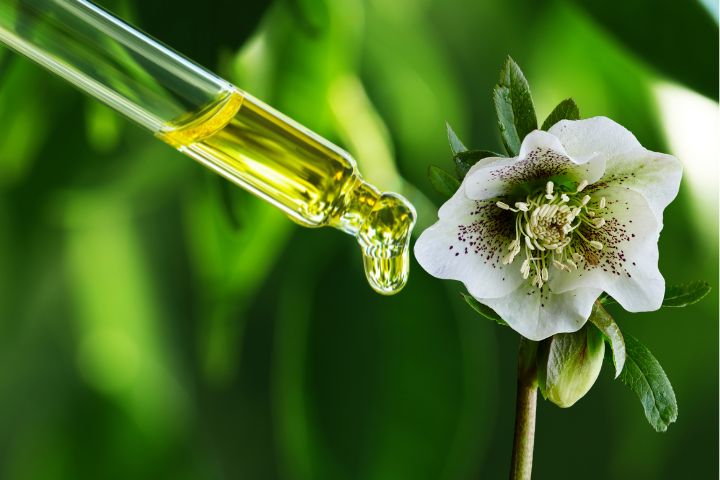 مهم‌ترین سرنخ‌ها برای تشخیص روغن کندش اصل